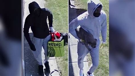 Two men wanted in theft of 4-month-old puppy from Rexdale home